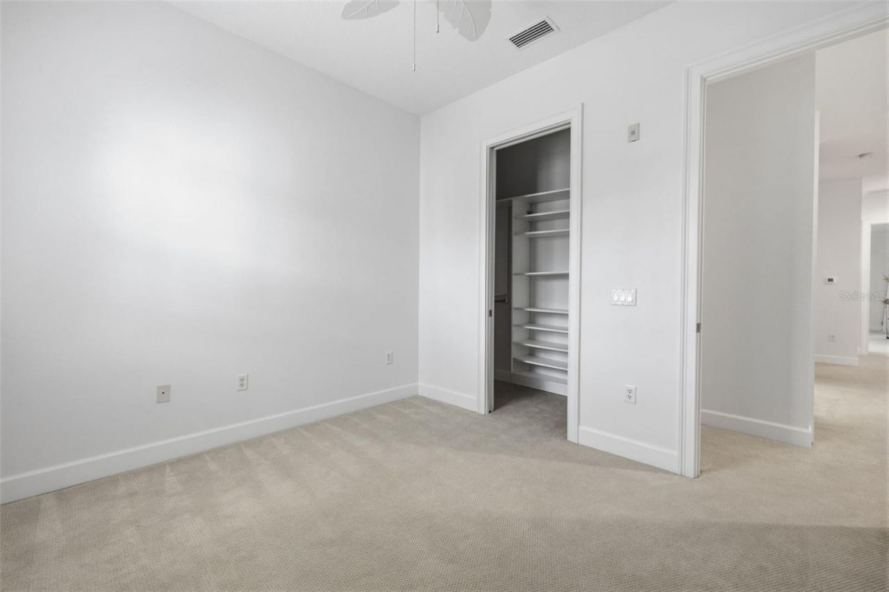 11516 Bellamar Street, Tampa, FL 33637 Photo