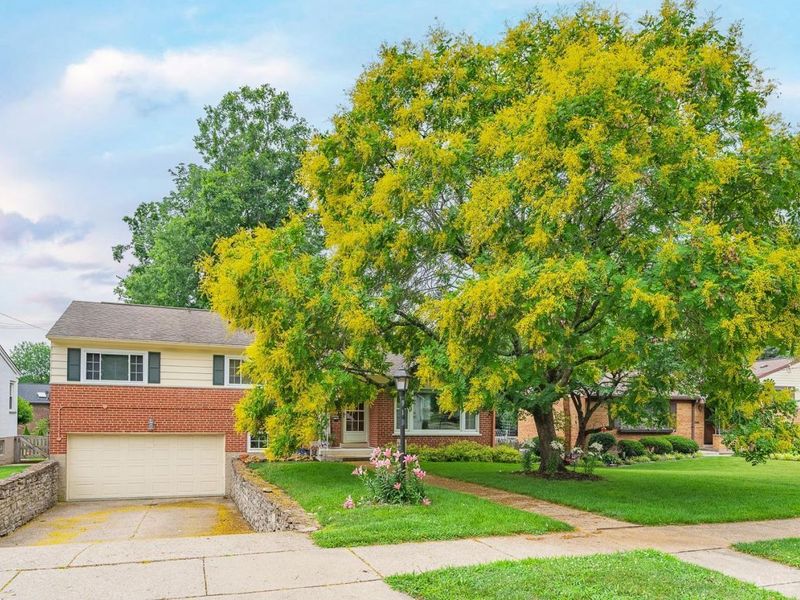919 Rosetree Lane, Anderson Twp, OH 45230 Photo 1