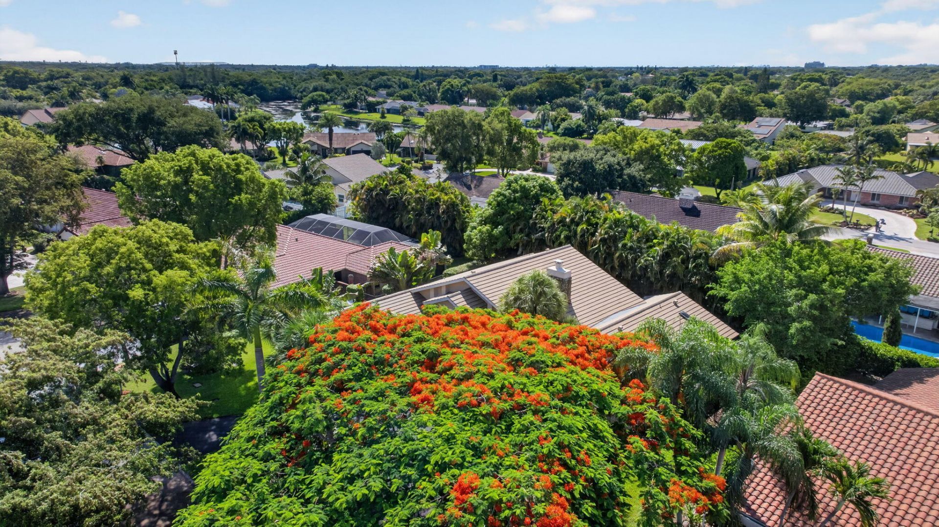 11244 NW 10th Manor, Coral Springs, FL 33071 Photo