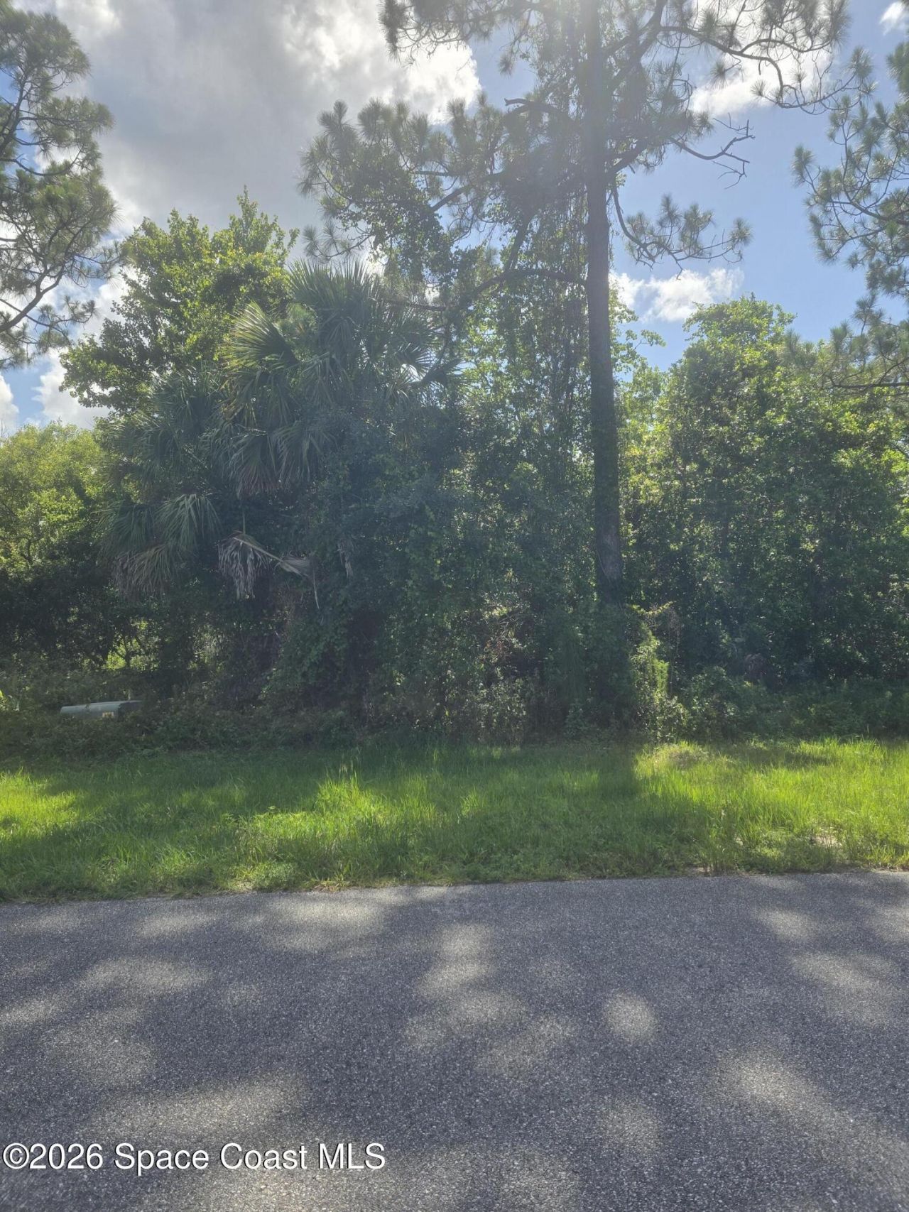 3906 Rambling Acres Drive , Titusville, FL 32780 Photo