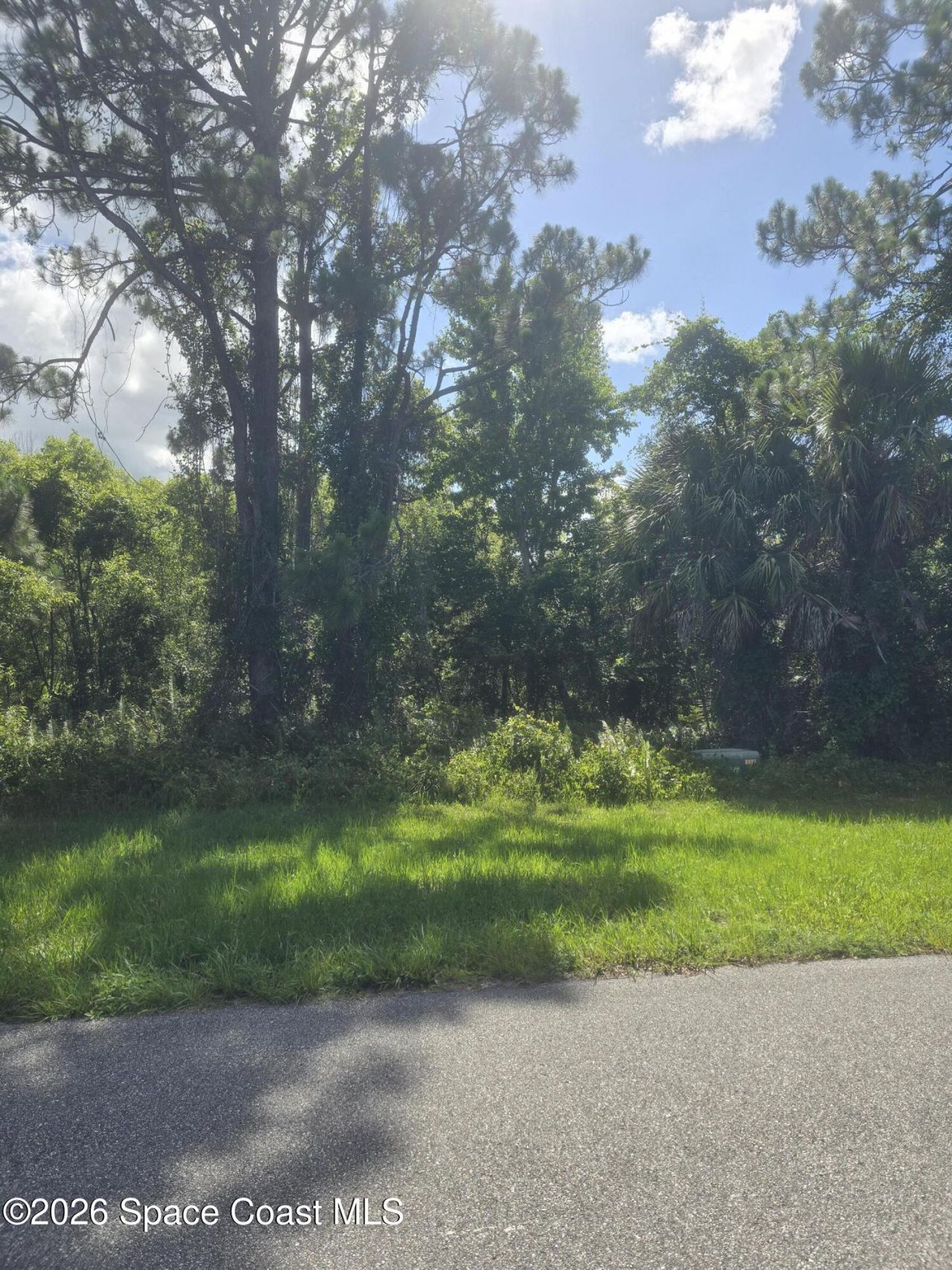 3906 Rambling Acres Drive , Titusville, FL 32780 Photo