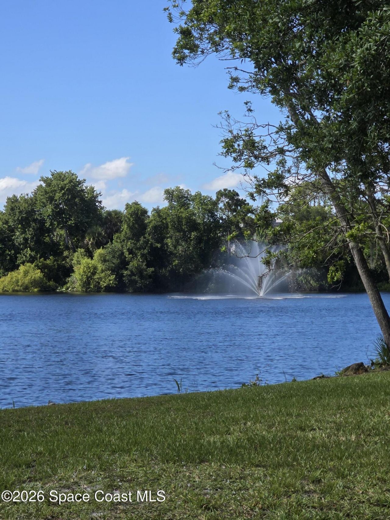 3906 Rambling Acres Drive , Titusville, FL 32780 Photo