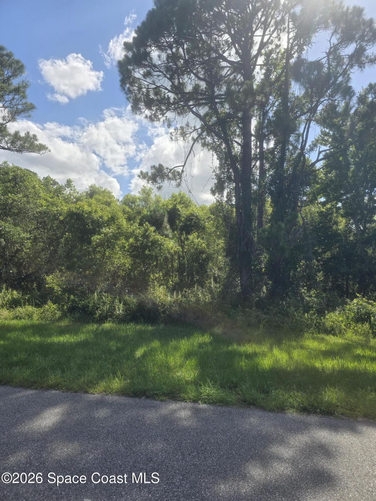 3906 Rambling Acres Drive , Titusville, FL 32780 Photo