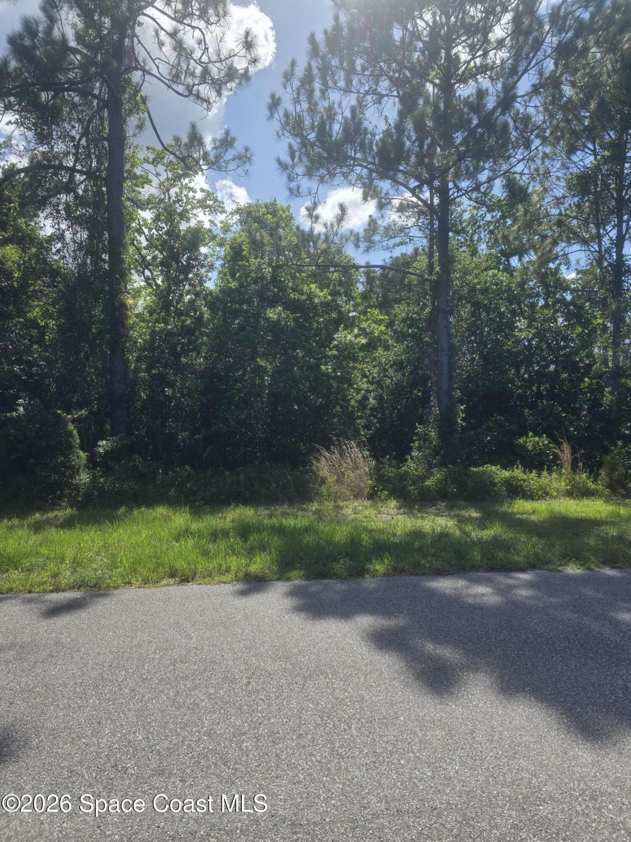 3906 Rambling Acres Drive , Titusville, FL 32780 Photo