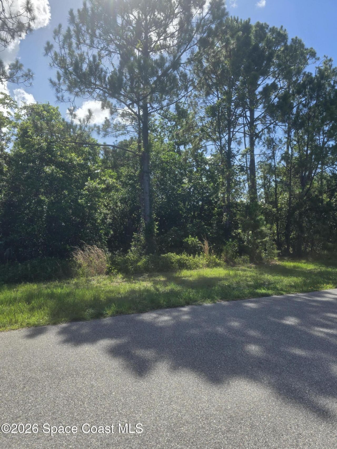 3906 Rambling Acres Drive , Titusville, FL 32780 Photo