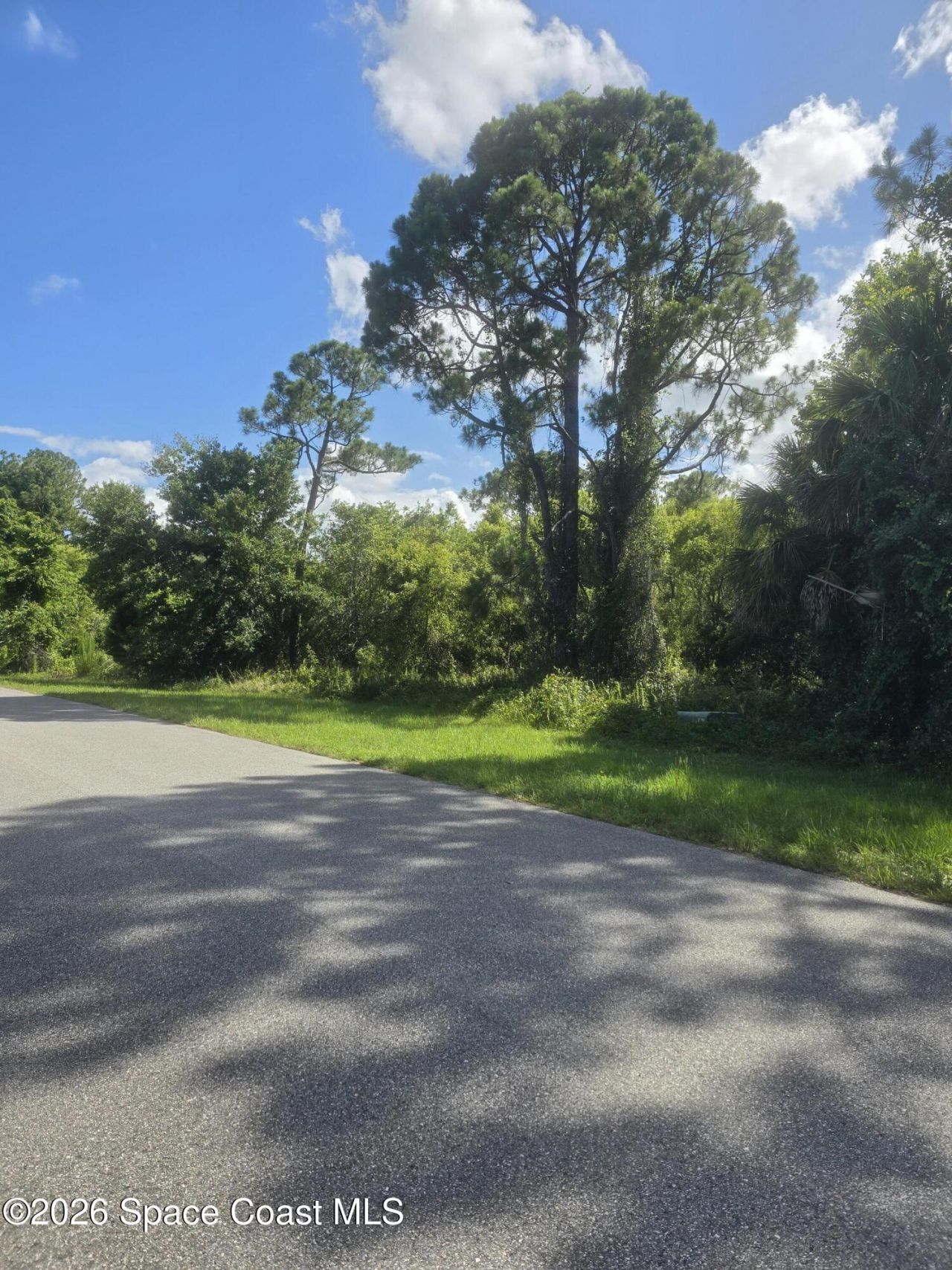 3906 Rambling Acres Drive , Titusville, FL 32780 Photo