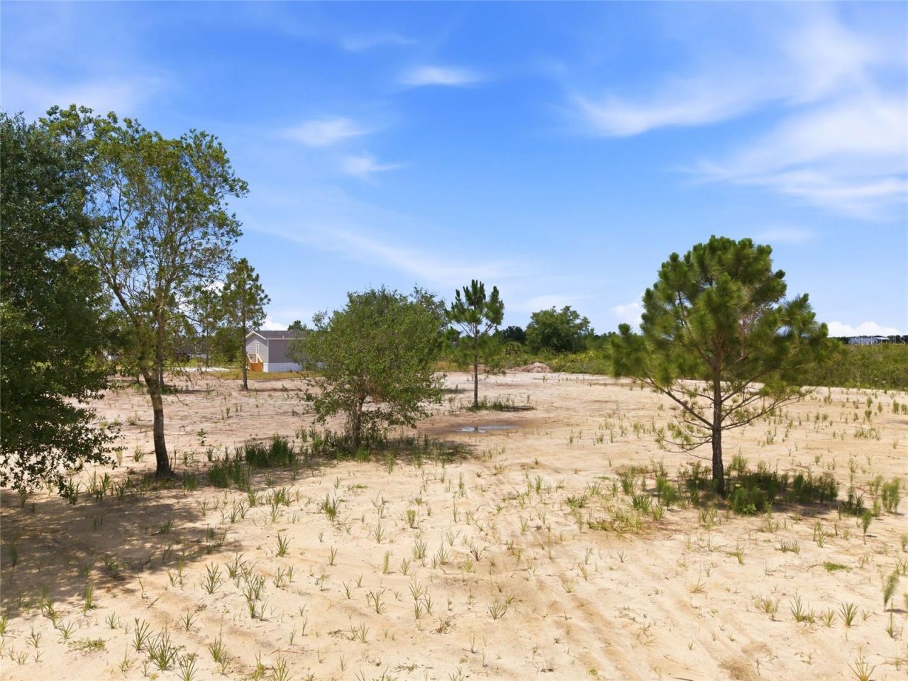 17975 NW 266th Street , Okeechobee, FL 34972 Photo