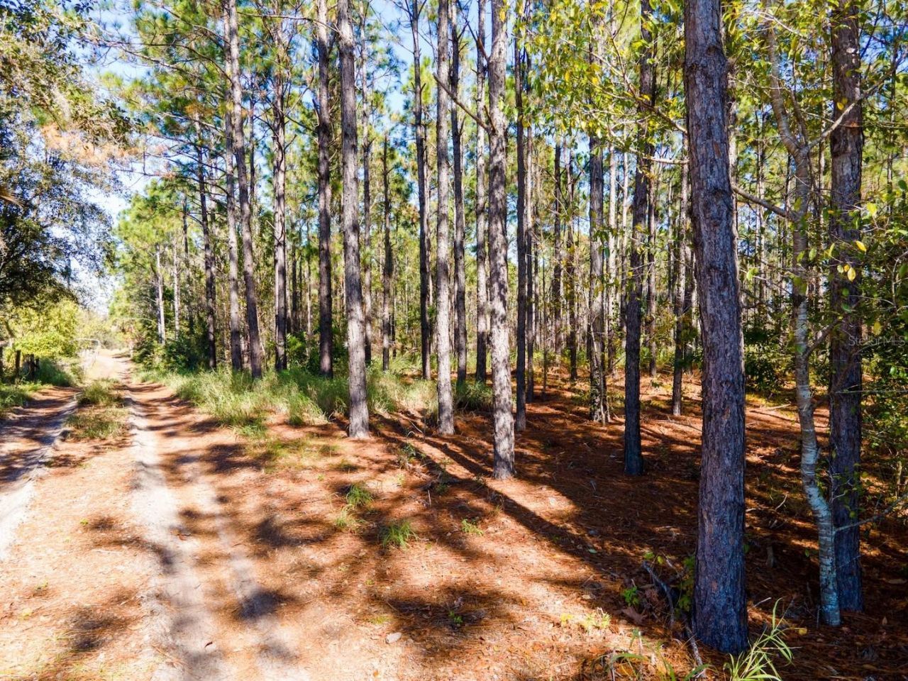 Lost Lake Road , Clermont, FL 34711 Photo