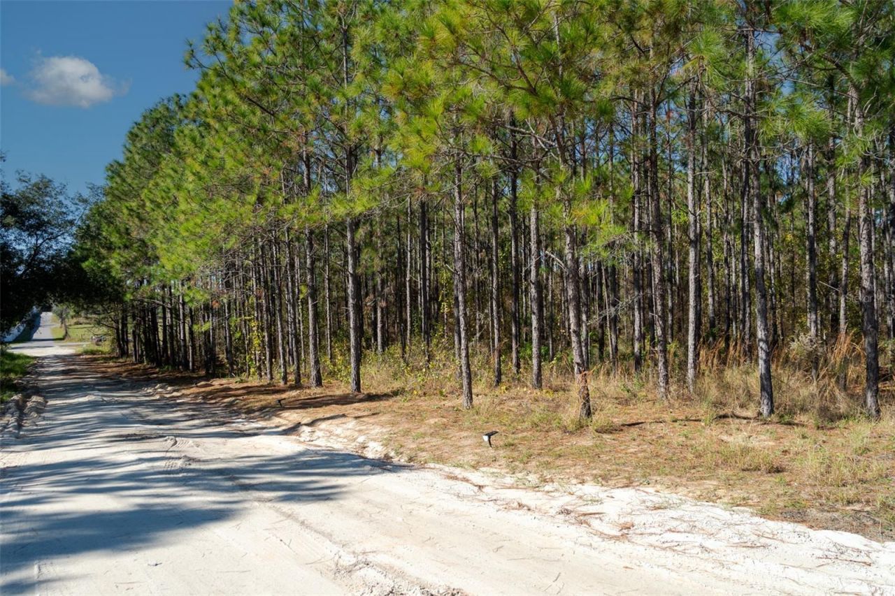 Lost Lake Road , Clermont, FL 34711 Photo