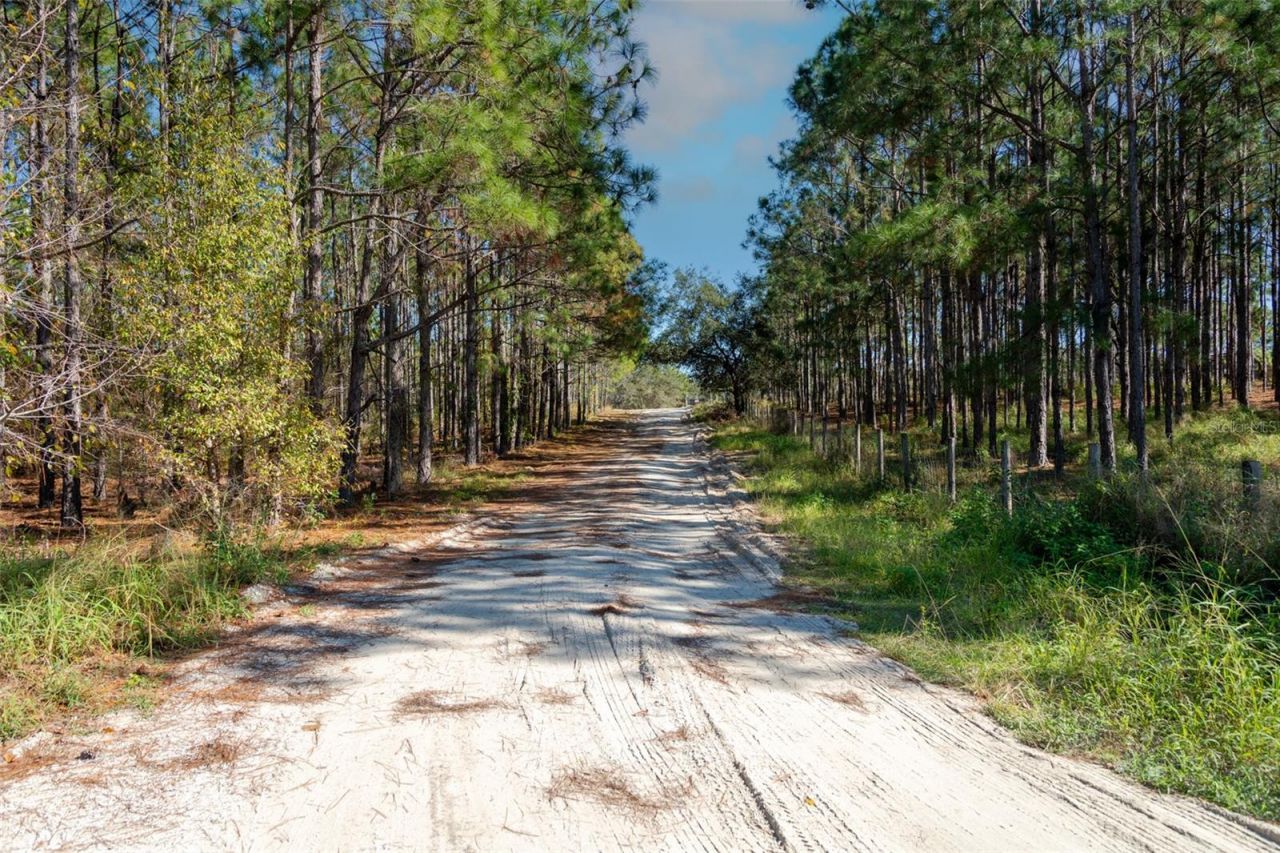 Lost Lake Road , Clermont, FL 34711 Photo