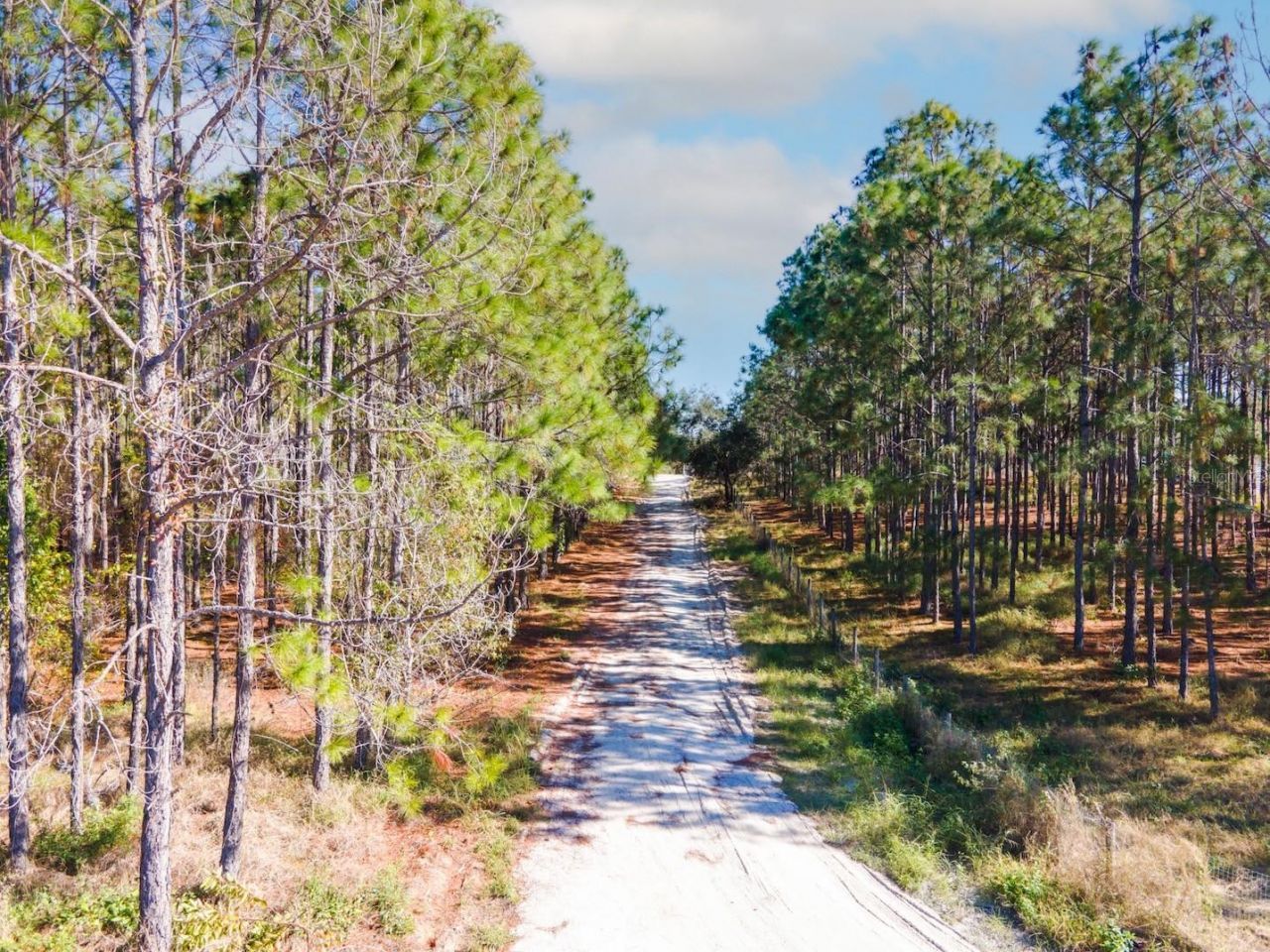 Lost Lake Road , Clermont, FL 34711 Photo