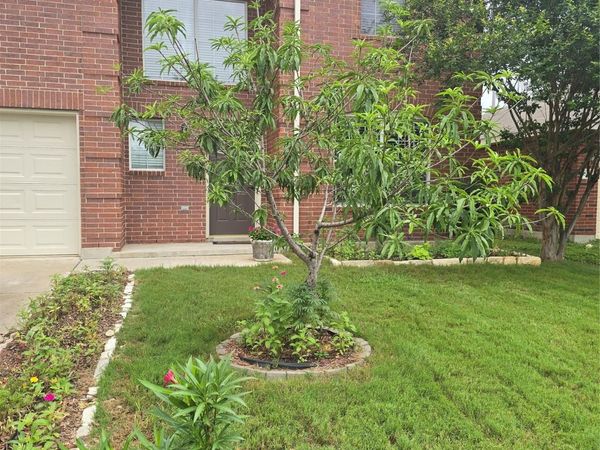 203 Pheasant TRL, Bastrop, TX 78602