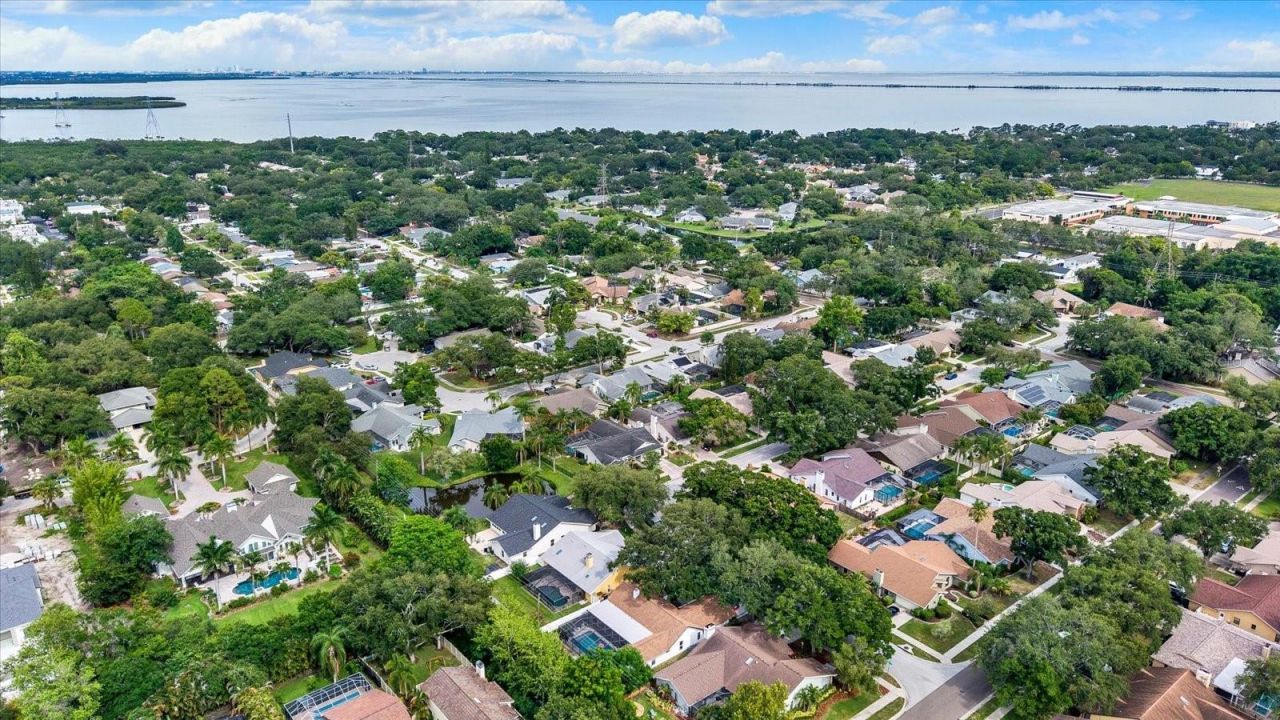 1118 Bramblewood Dr , Safety Harbor, FL 34695 Photo