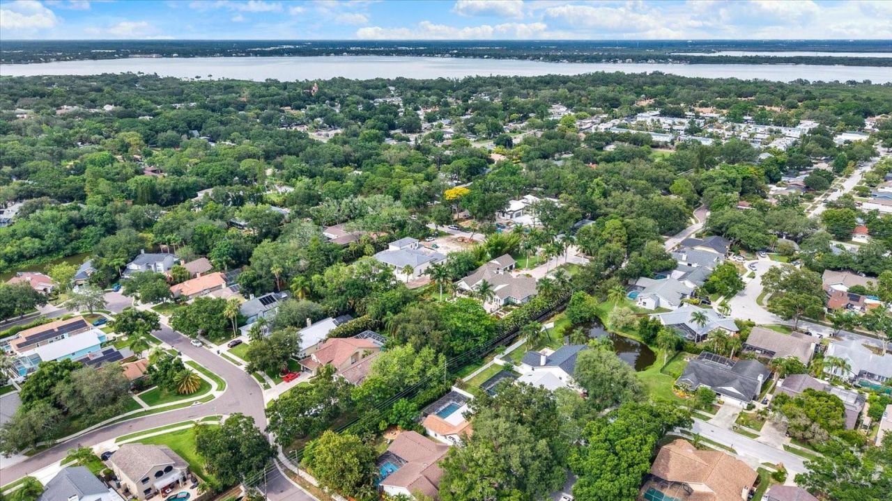 1118 Bramblewood Dr , Safety Harbor, FL 34695 Photo