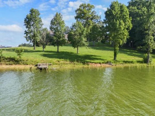 LOT 24 Devon Way Road, White Pine, TN 37890