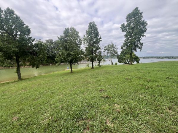 LOT 24 Devon Way Road, White Pine, TN 37890