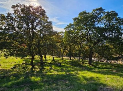 2680 Via Fiori, El Dorado Hills, CA 95762 Photo
