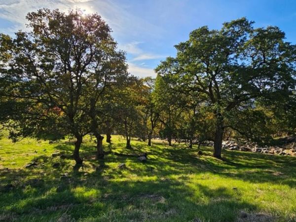 2680 Via Fiori, El Dorado Hills, CA 95762