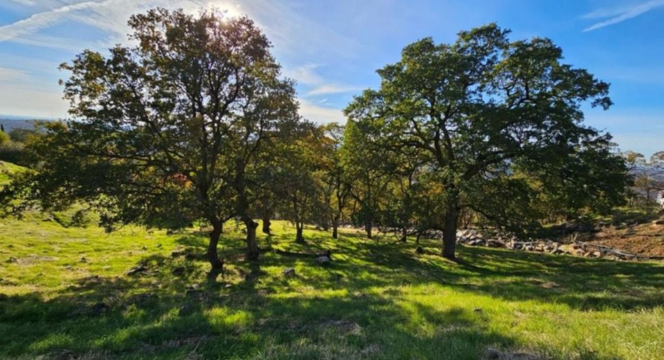 2680 Via Fiori, El Dorado Hills, CA 95762 Photo
