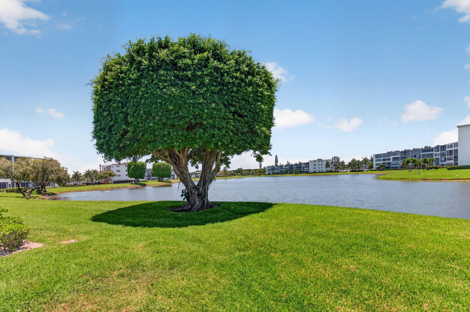 4059 Guildford D, Boca Raton, FL 33434 Photo