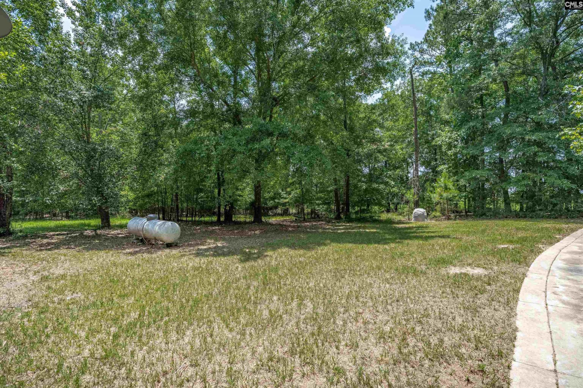 131 Mule Trail  Photo 42