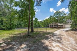 131 Mule Trail  photo 4