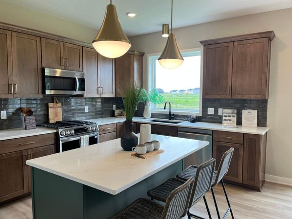 15029 Ardmullivan Lane, Rosemount, MN 55068