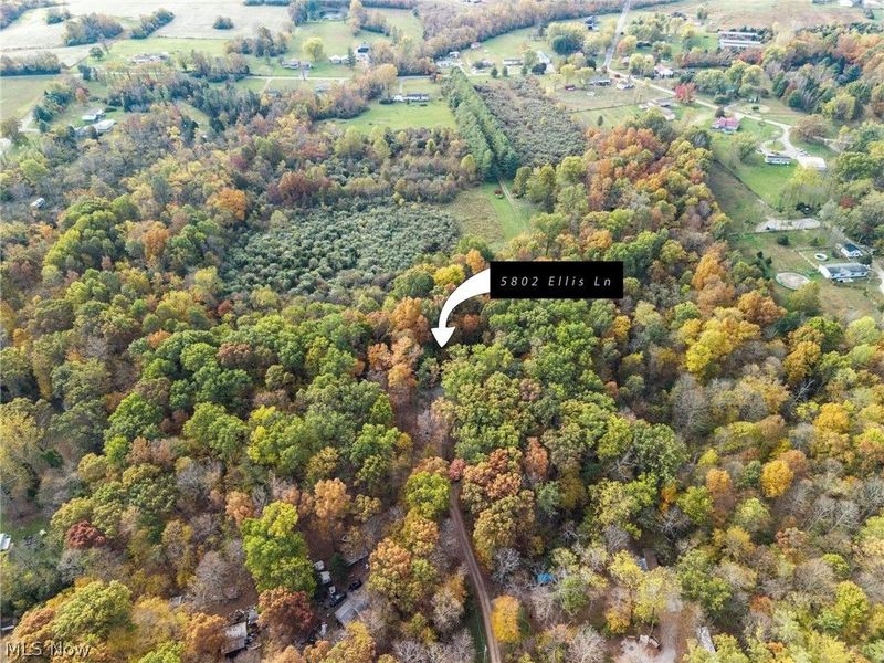 5802 Ellis Lane , Hillsboro, OH 45133 Photo 37