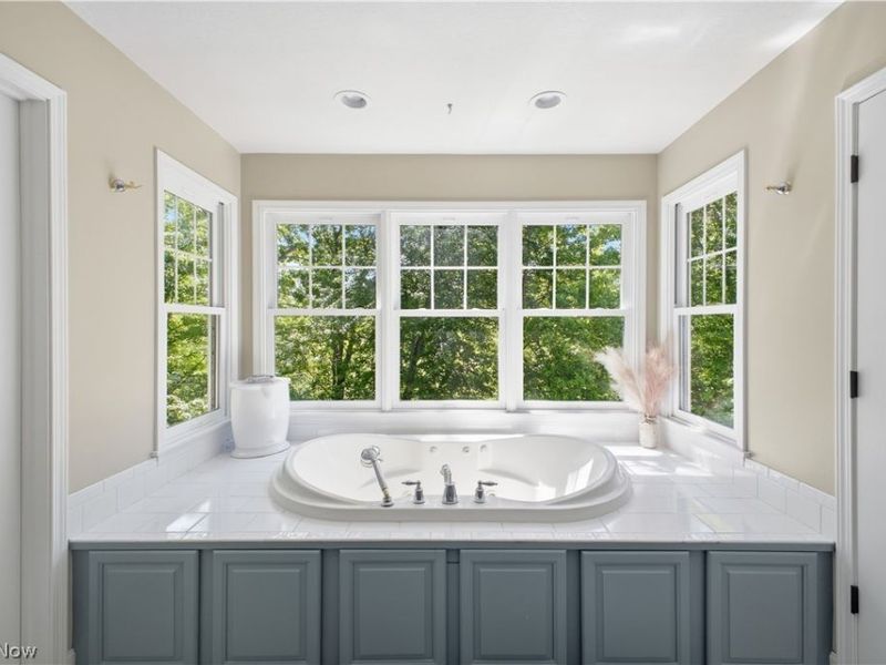 2692 Pitcher Plant Court , Uniontown, OH 44685 Photo 17