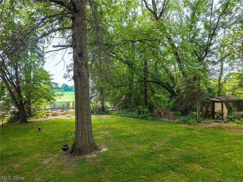 5520 Apple Ridge Circle , Clinton, OH 44216 Photo 5