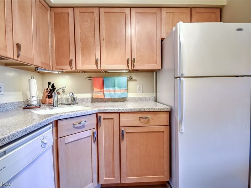 1 Meadowlawn Drive, Unit 12, Mentor, OH 44060 Photo 16