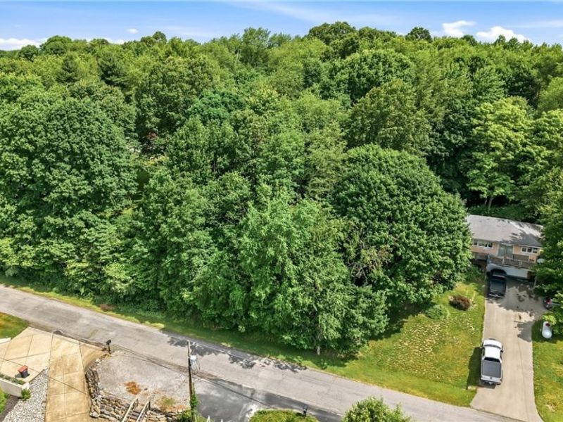 Tomahawk Drive , Negley, OH 44441 Photo 14