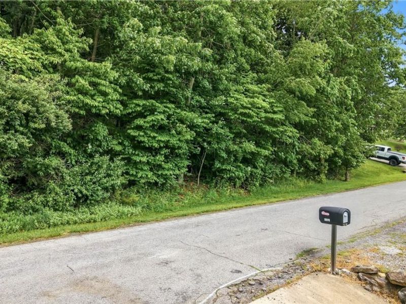 Tomahawk Drive , Negley, OH 44441 Photo 8