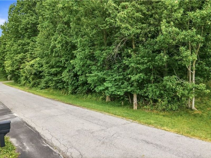 Tomahawk Drive , Negley, OH 44441 Photo 9