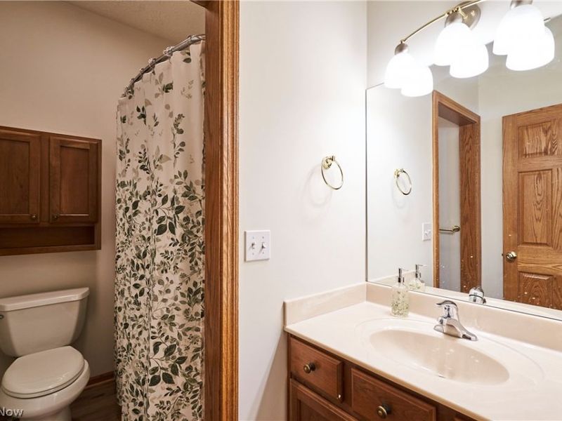 4068 Forest Run Circle , Medina, OH 44256 Photo 19
