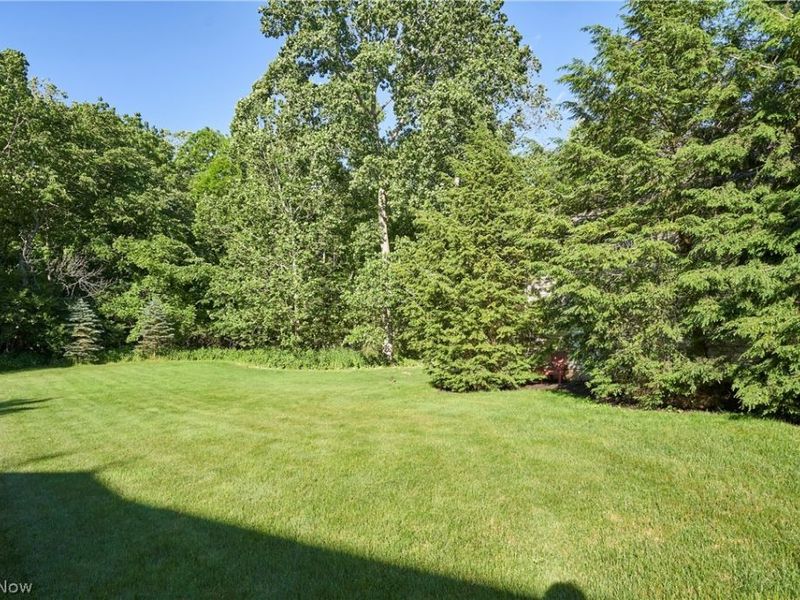 4068 Forest Run Circle , Medina, OH 44256 Photo 29
