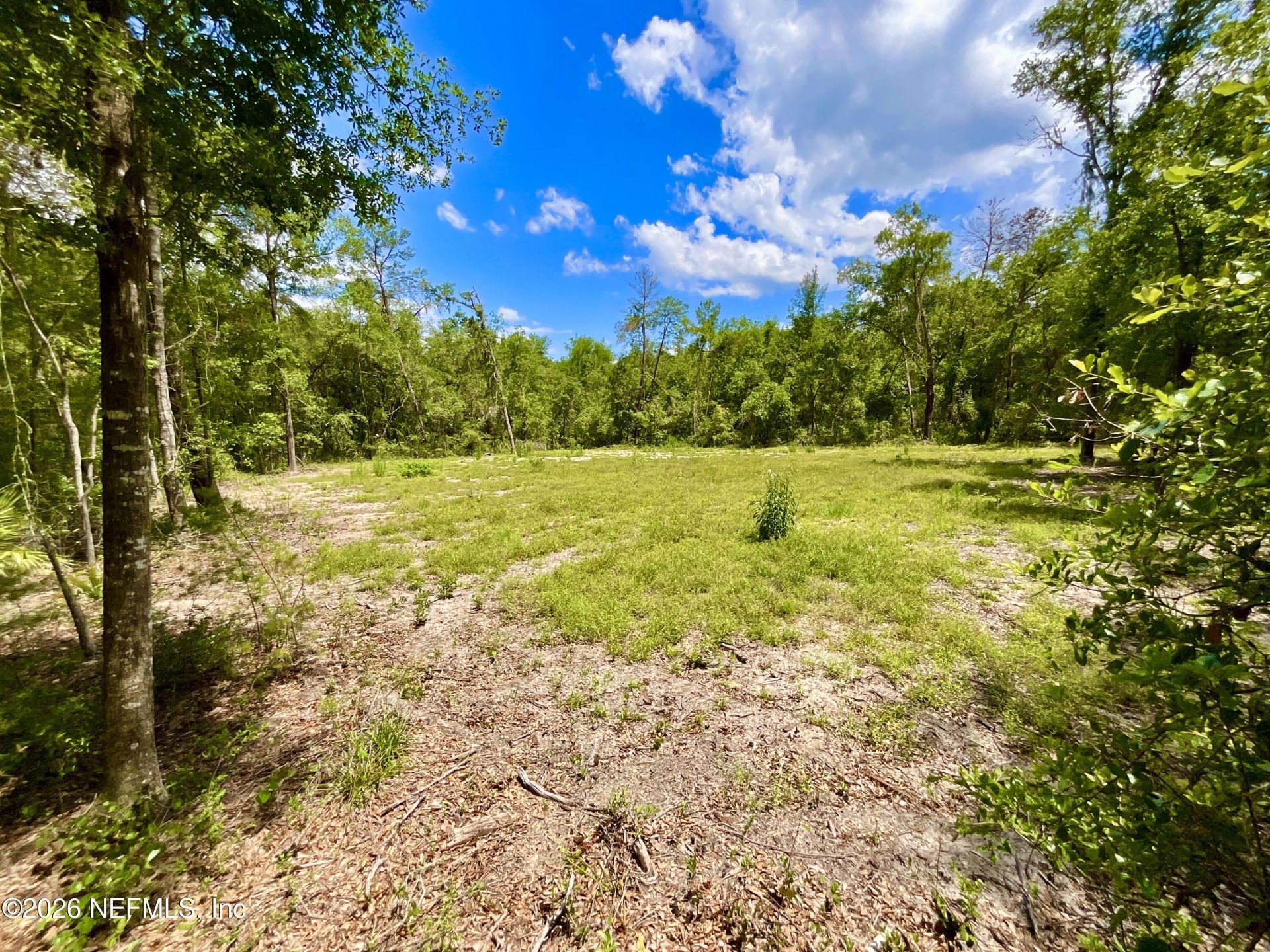 952 S Co Rd 21, Hawthorne, FL 32640 Photo