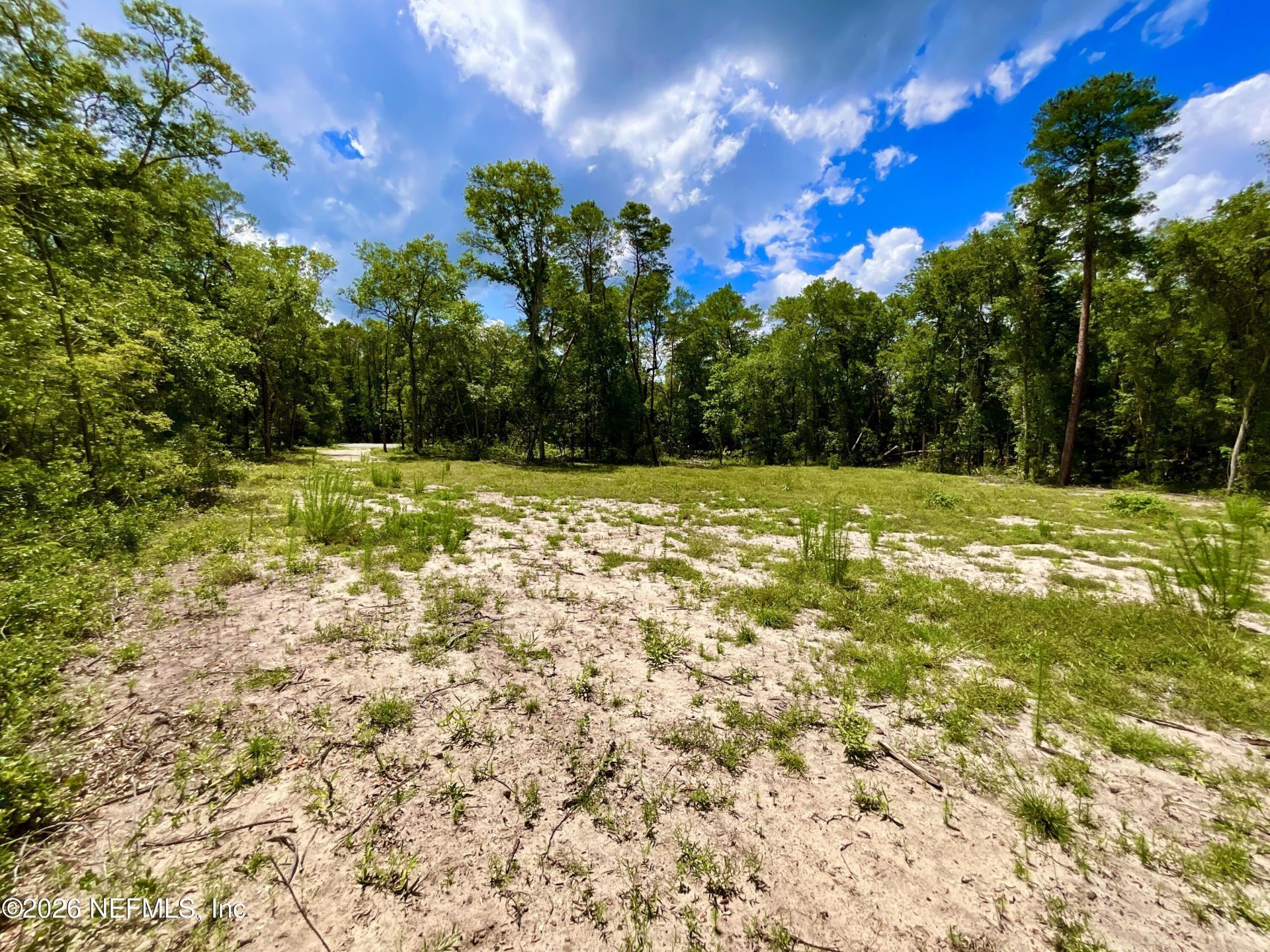 952 S Co Rd 21, Hawthorne, FL 32640 Photo