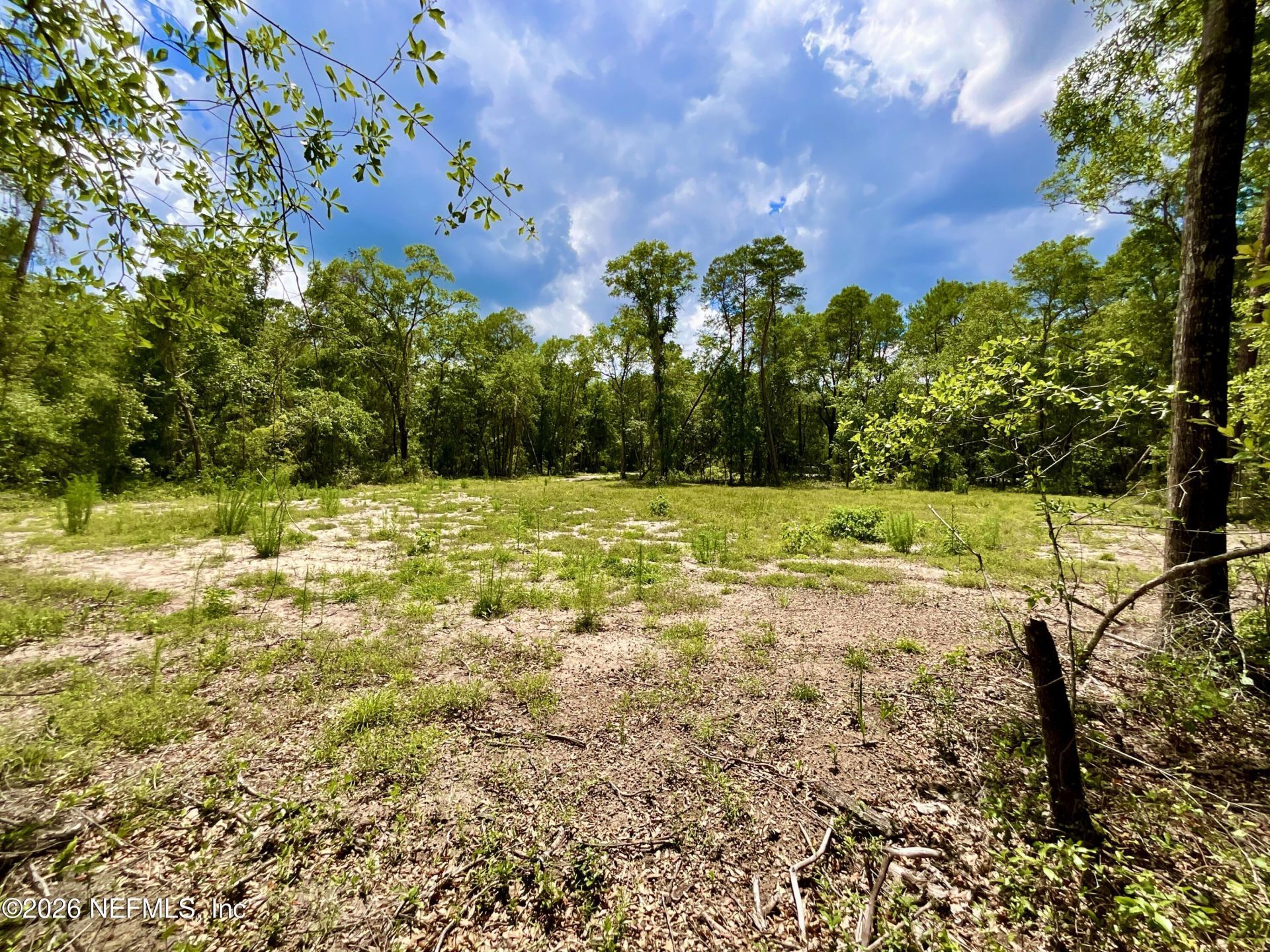 952 S Co Rd 21, Hawthorne, FL 32640 Photo