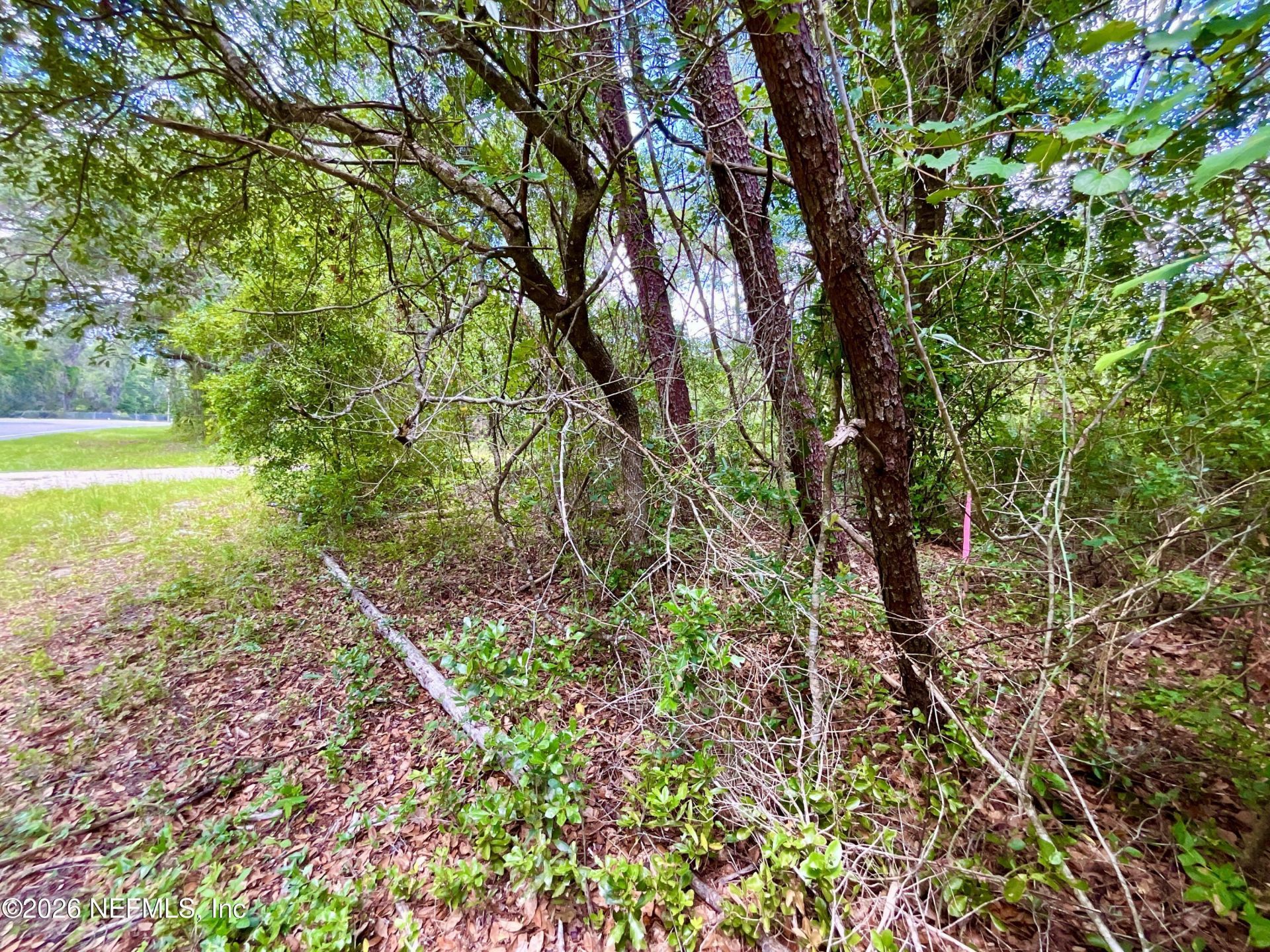 952 S Co Rd 21, Hawthorne, FL 32640 Photo