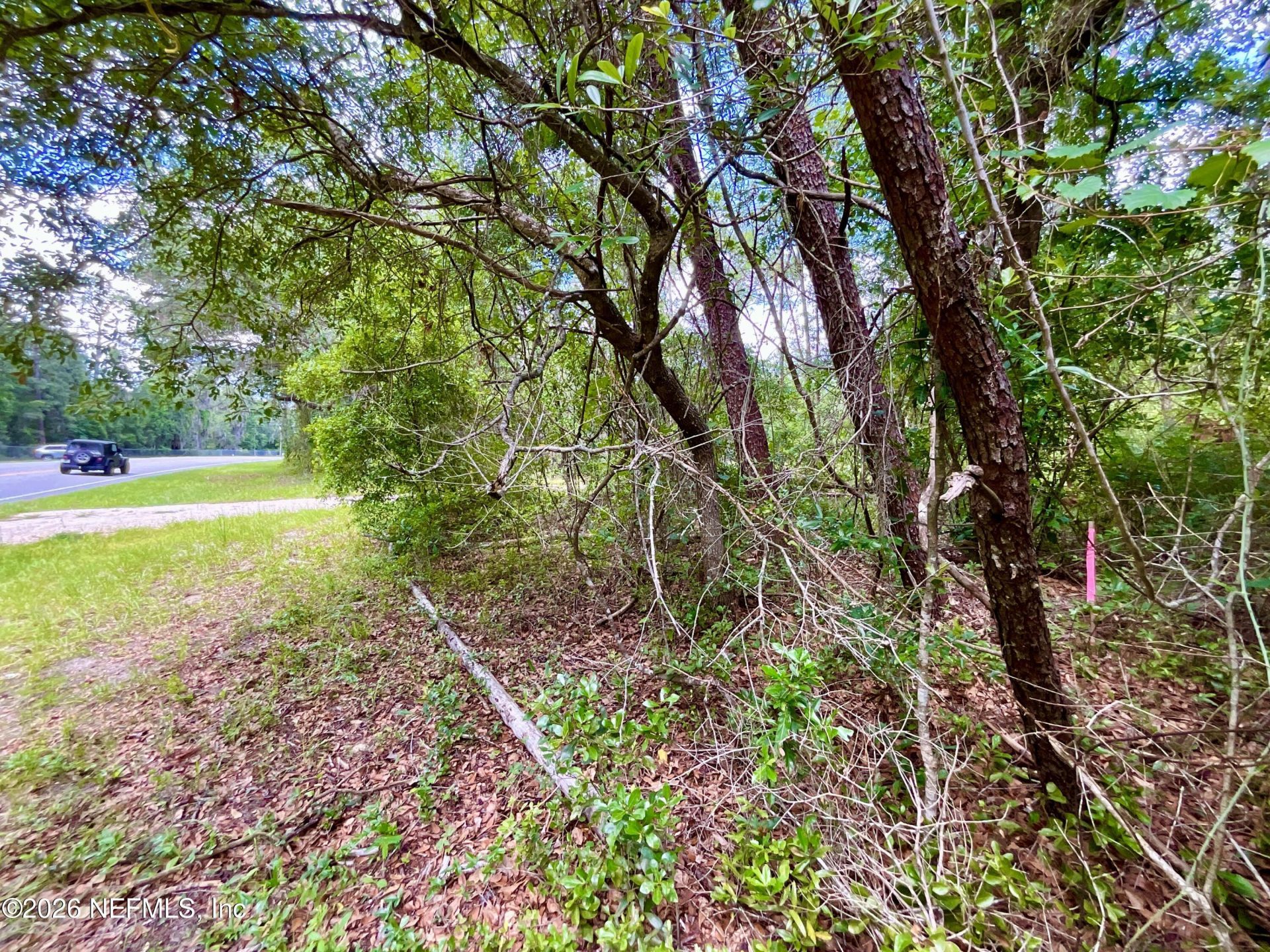 952 S Co Rd 21, Hawthorne, FL 32640 Photo