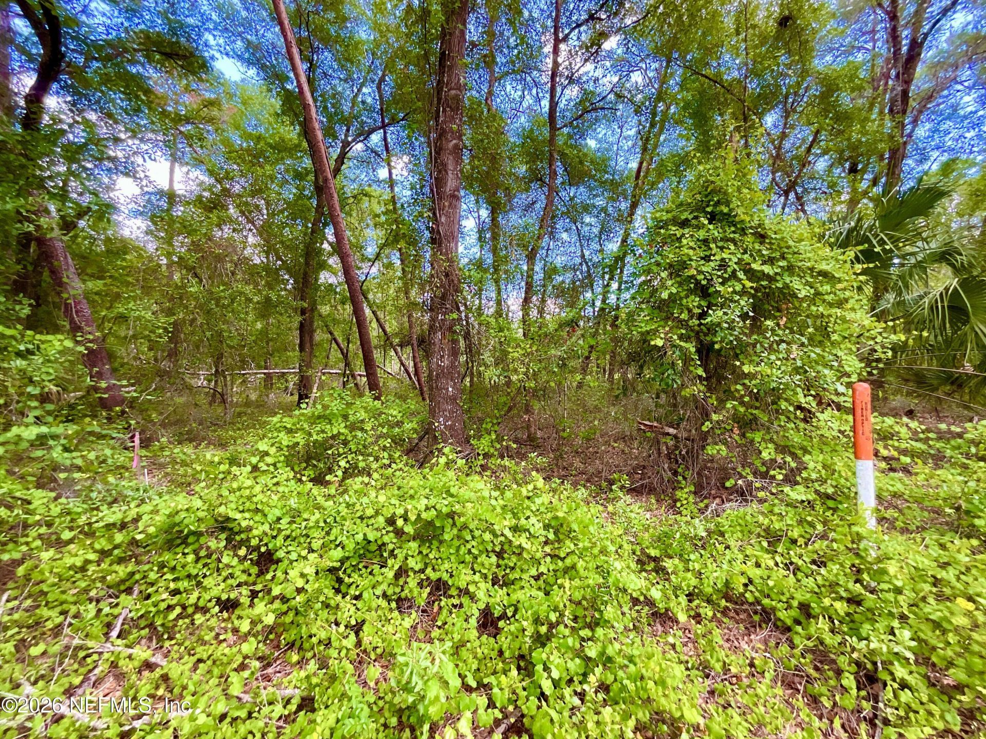 952 S Co Rd 21, Hawthorne, FL 32640 Photo