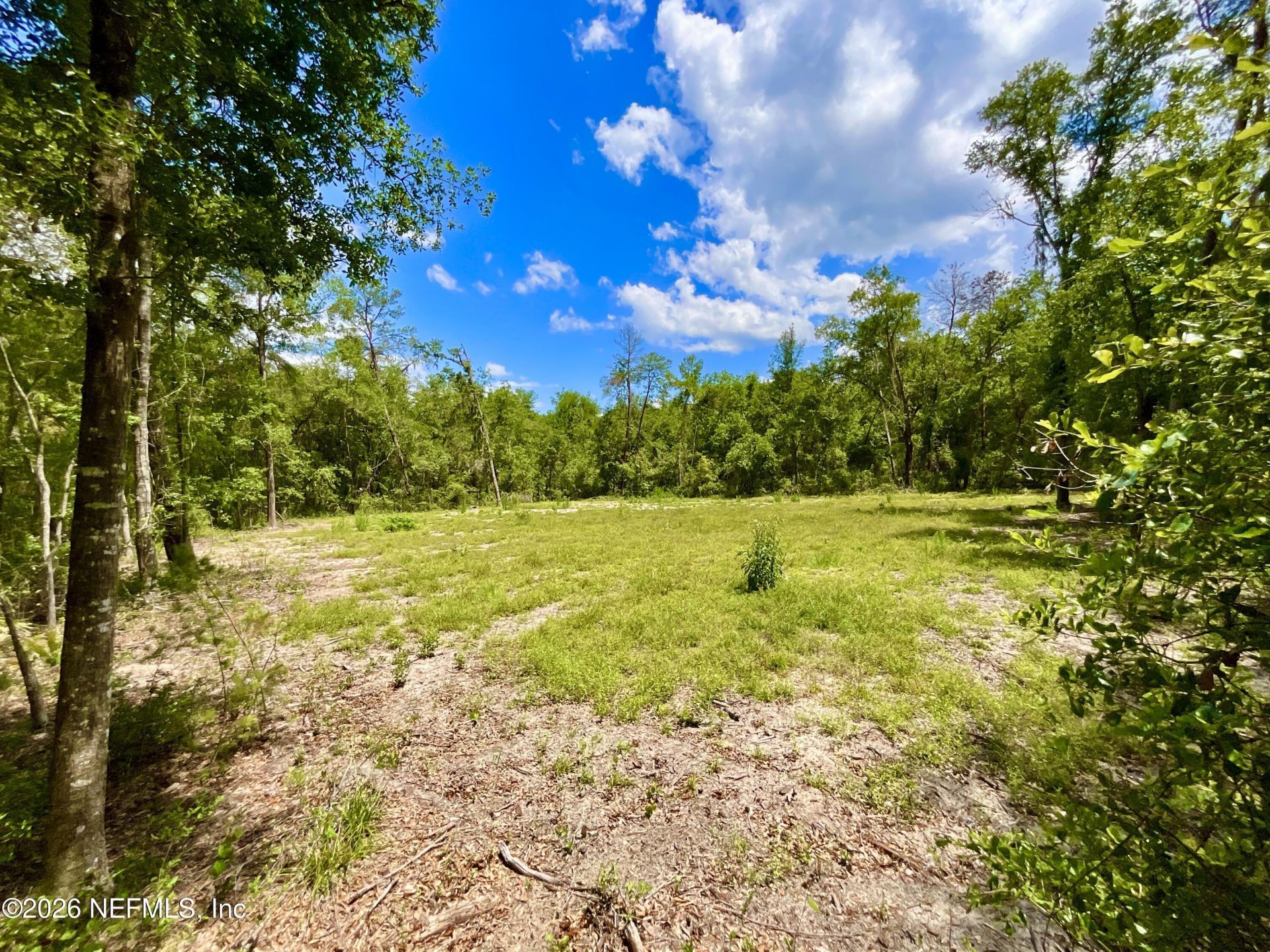 952 S Co Rd 21, Hawthorne, FL 32640 Photo