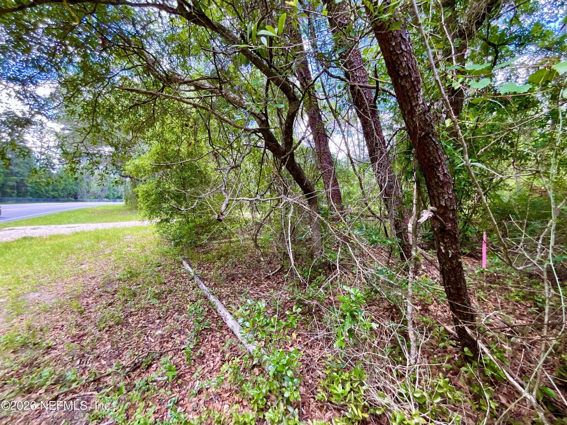 952 S Co Rd 21, Hawthorne, FL 32640 Photo