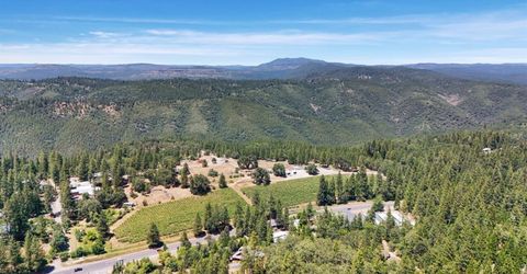 659 Sugarbush, Murphys, CA 95247 Photo