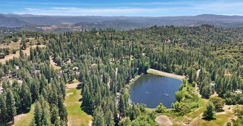 659 Sugarbush, Murphys, CA 95247 Photo