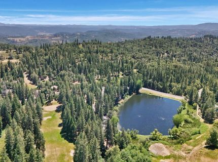 659 Sugarbush, Murphys, CA 95247 Photo