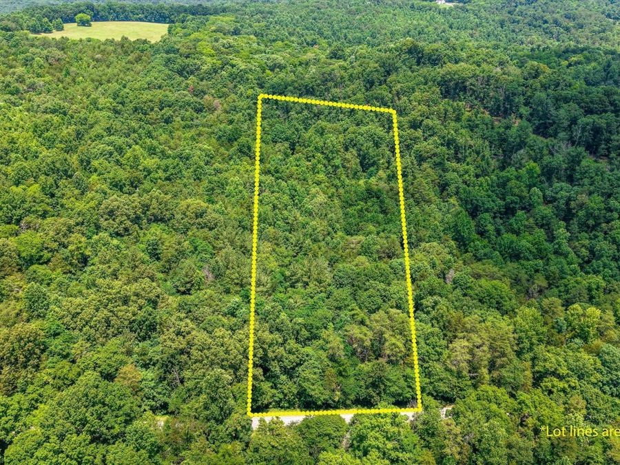 Property Image 7