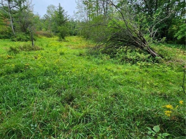 0 Lot 2 Cortland Rd, Dryden, NY 13053