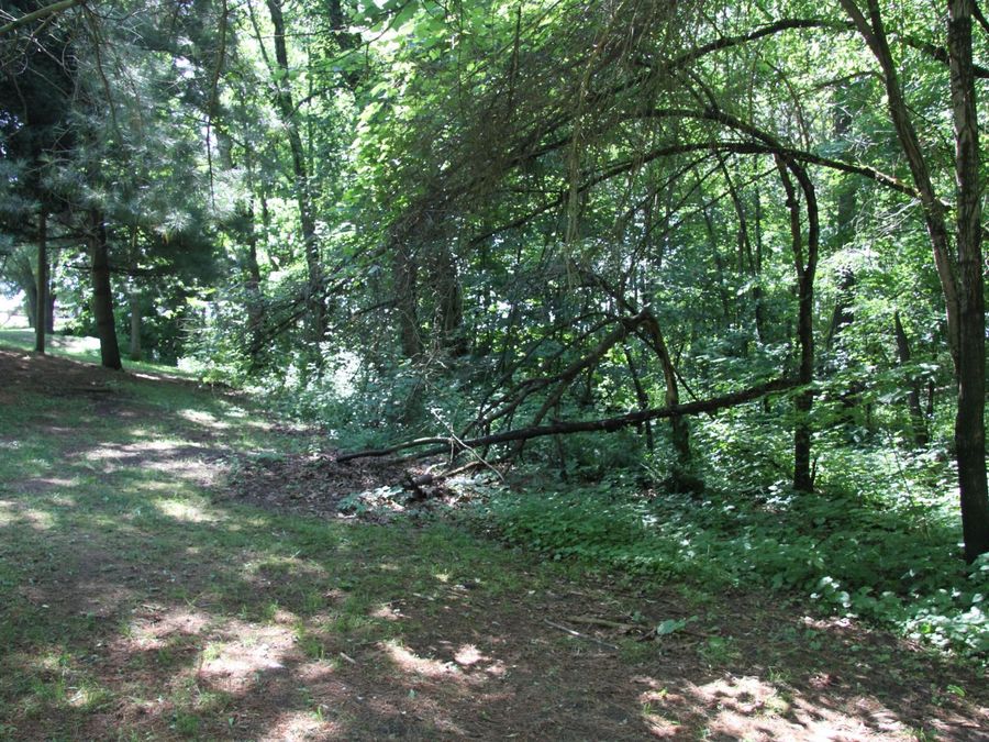 Property Image 35